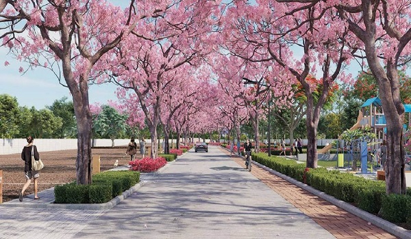 Brigade Neem Grove